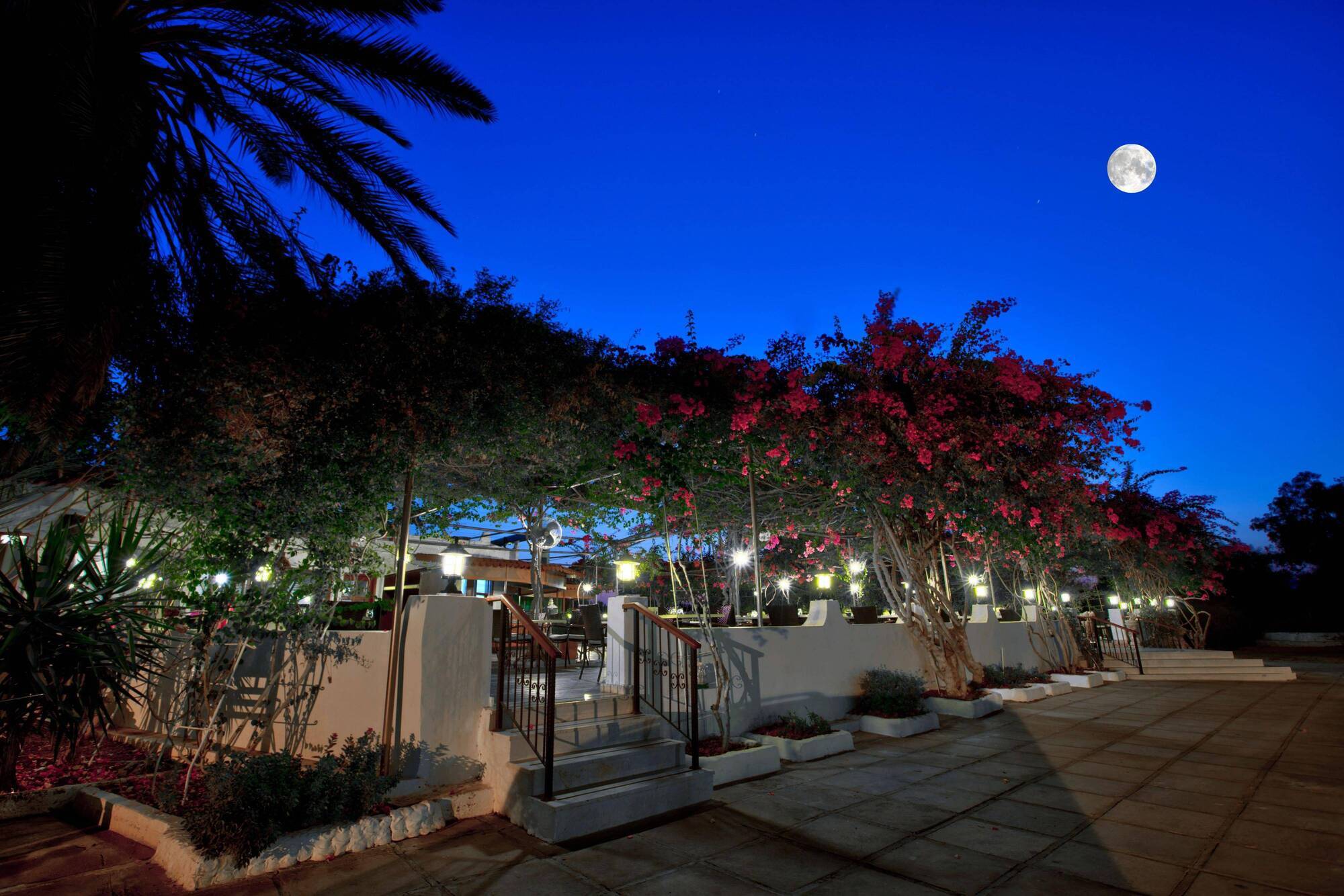 Merit Cyprus Gardens Holiday Famagusta  Bagian luar foto